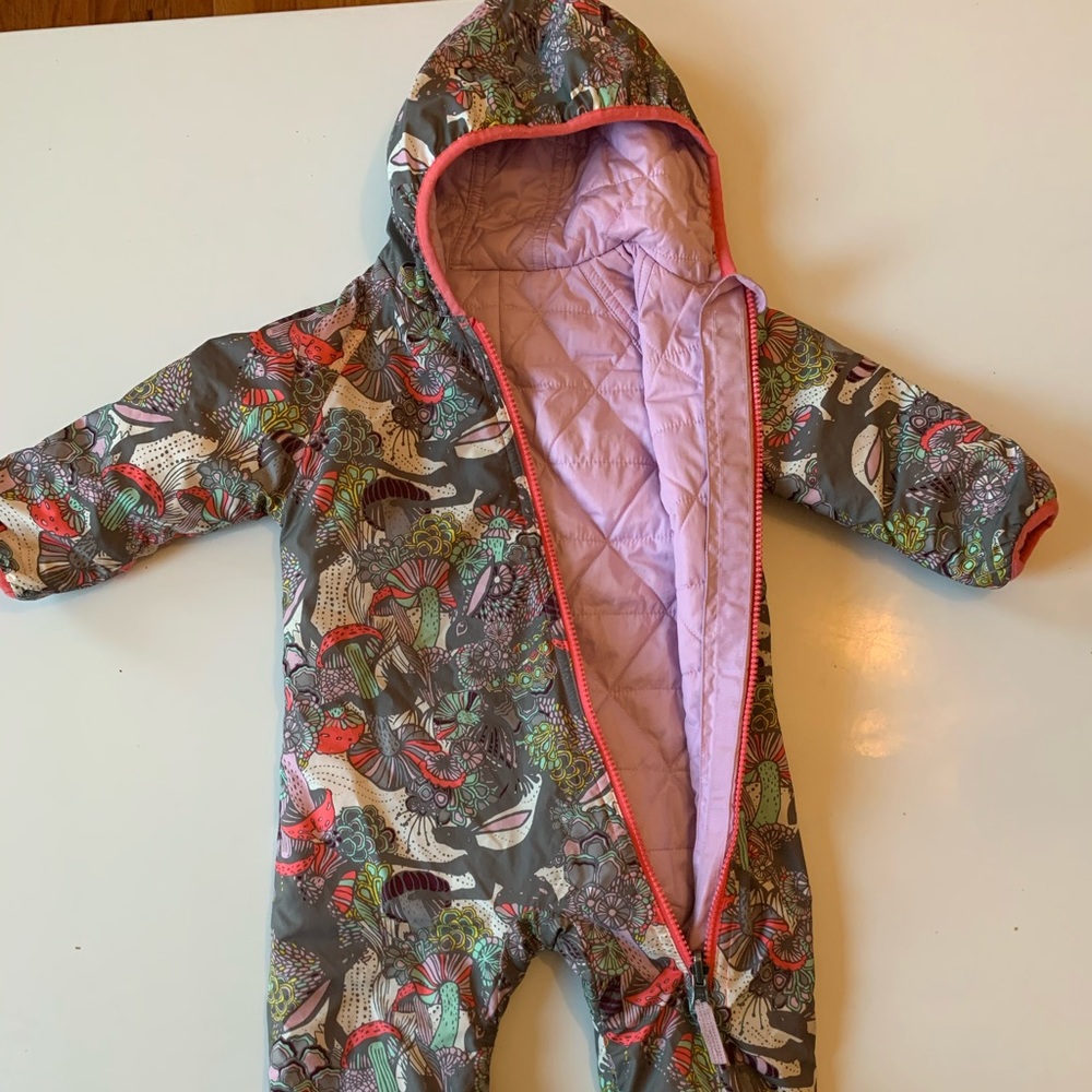 Patagonia Reversable Puff-Ball Snowsuit Bunting